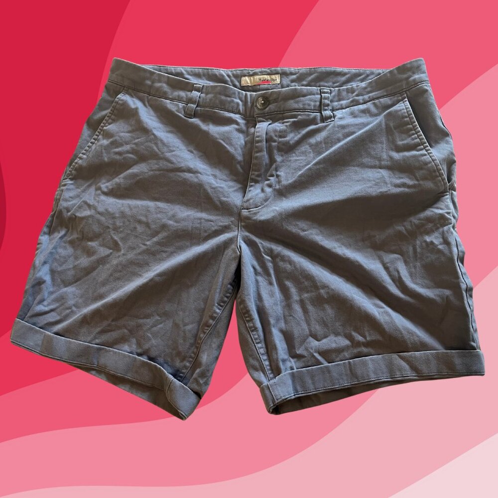 Hawker Rye Men’s Gray Chino Shorts | Size 36x9